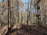Lot 321 Hilltop Lane - Photo 31