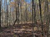 Lot 321 Hilltop Lane - Photo 32
