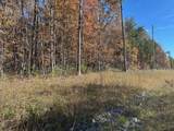 Lot 321 Hilltop Lane - Photo 4