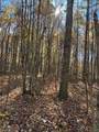 Lot 321 Hilltop Lane - Photo 8
