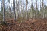 Lot 4 Shotgun Annie Rd - Photo 19