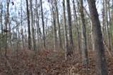 Lot 4 Shotgun Annie Rd - Photo 24