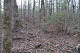 Lot 4 Shotgun Annie Rd - Photo 47