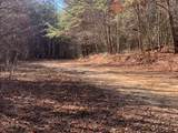 Tract 2 Lone Wolf Trail - Photo 10