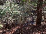 Tract 2 Lone Wolf Trail - Photo 2
