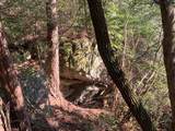 Tract 2 Lone Wolf Trail - Photo 3