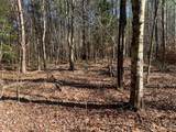 Tract 2 Lone Wolf Trail - Photo 6