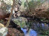 Tract 3 Lone Wolf Trail - Photo 10
