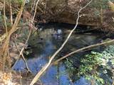 Tract 3 Lone Wolf Trail - Photo 13