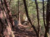 Tract 3 Lone Wolf Trail - Photo 14