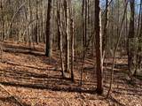 Tract 3 Lone Wolf Trail - Photo 4