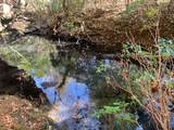 Tract 3 Lone Wolf Trail - Photo 7