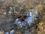 Tract 3 Lone Wolf Trail - Photo 8