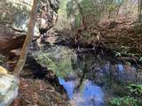Tract 3 Lone Wolf Trail - Photo 9