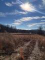 0.55 AC Cookeville Hwy - Photo 3