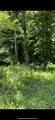 Lot 8 Hidden River Rd - Photo 8