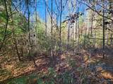 Lot 25 Shotgun Annie Rd - Photo 6