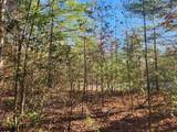 Lot 25 Shotgun Annie Rd - Photo 9
