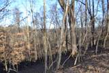 5.52ac Cabin Hill Rd - Photo 8