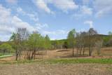 00 Big Springs Farm - Lot 1 - Photo 3