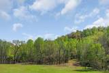 00 Big Springs Farm - Lot 1 - Photo 4