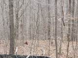Lot 60 Bobcat Lane - Photo 11