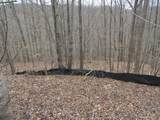 Lot 60 Bobcat Lane - Photo 12