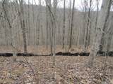 Lot 60 Bobcat Lane - Photo 13