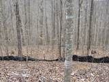 Lot 60 Bobcat Lane - Photo 14