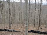 Lot 60 Bobcat Lane - Photo 4