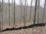 Lot 60 Bobcat Lane - Photo 5