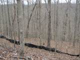Lot 60 Bobcat Lane - Photo 6