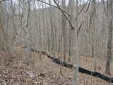 Lot 60 Bobcat Lane - Photo 7