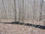 Lot 60 Bobcat Lane - Photo 8