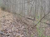 Lot 60 Bobcat Lane - Photo 9