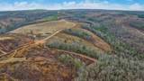 0 Possum Trot Road - Tract 3 - Photo 3