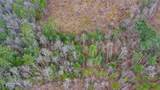 0 Possum Trot Road - 142.25 Acres - Photo 12