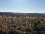 0 Possum Trot Road - 142.25 Acres - Photo 24