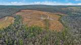 0 Possum Trot Road - 142.25 Acres - Photo 6