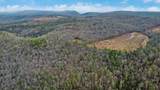 0 Possum Trot Road - 142.25 Acres - Photo 7