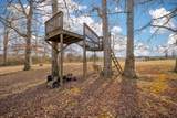 2560 Wildcat Rd - Photo 20