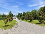 281 Red Williams Road - Photo 84