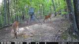 18.19 Ac Spence Ln - Photo 9