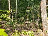 13850 Lantana Rd - Photo 15