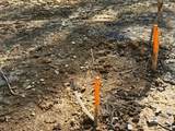 13850 Lantana Rd - Photo 20