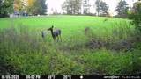 1090 Old Sunbright Road - Photo 28