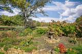 1799 Fairway Dr - Photo 39