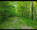 lot 43 Shetland Trace - Photo 6