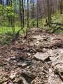 18.19 Ac Spence Ln - Photo 11