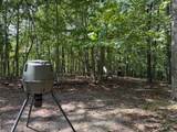 18.19 Ac Spence Ln - Photo 19